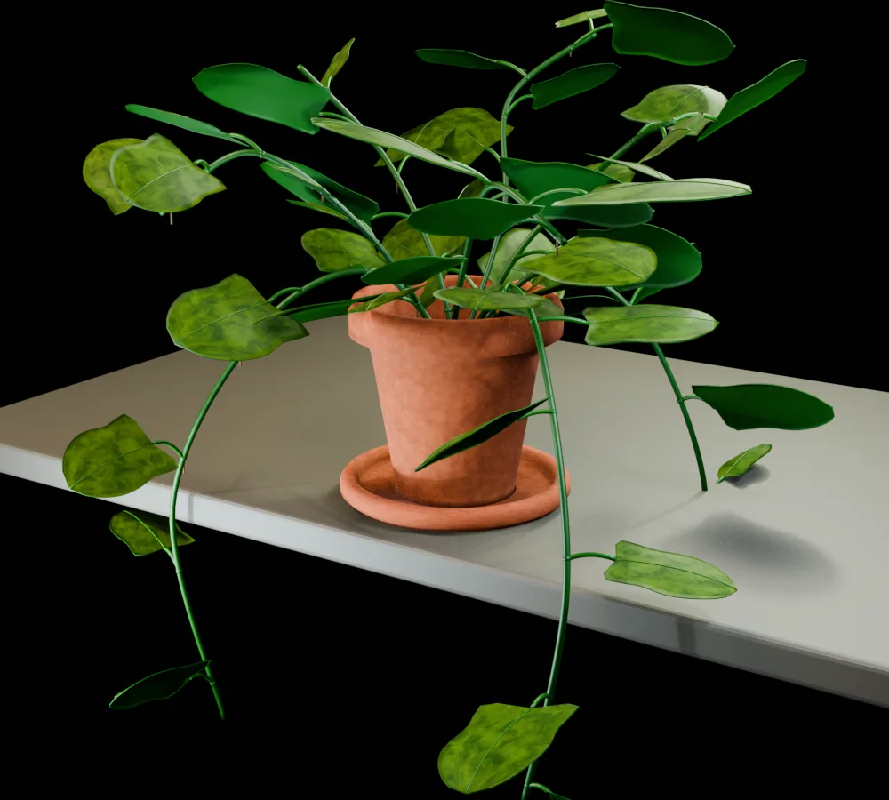 Accepted golden pothos with variegated leaves, trailing vines and terracotta planter.